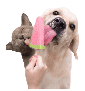 HELADO (2)